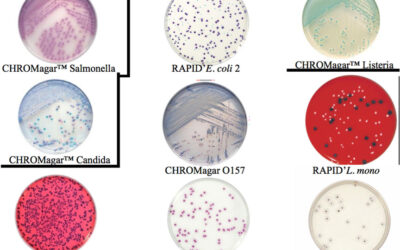 Seminar “Health dangers in Hotels”