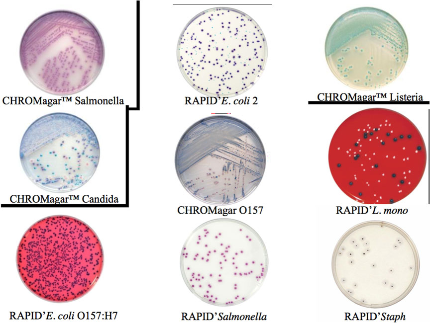 Σεμινάριο «Κίνδυνοι Υγείας στα Ξενοδοχεία»