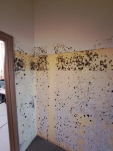 agrospecom stegnwma mouxla